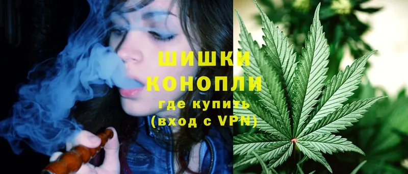 Шишки марихуана THC 21%  Алексин 